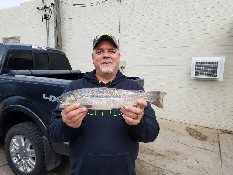 Tiger trout